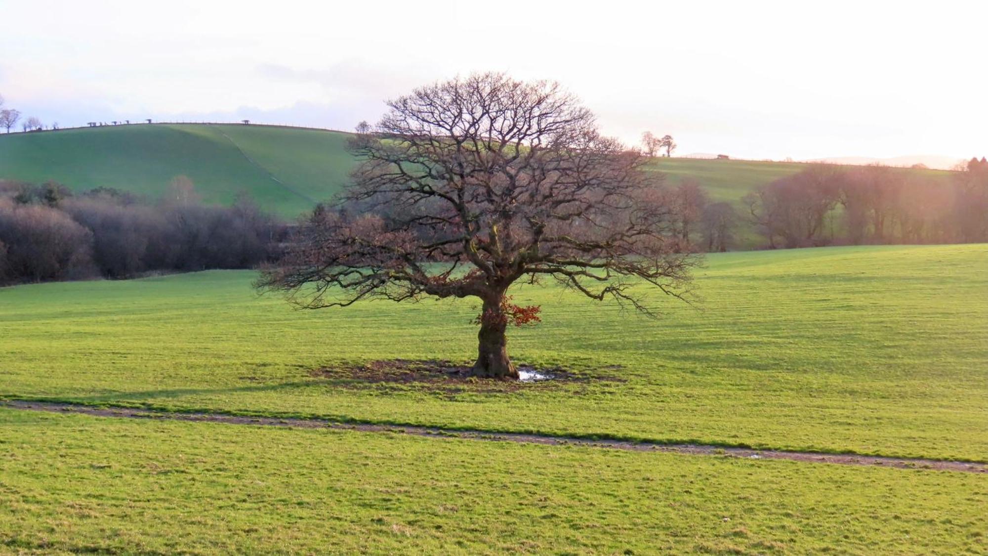 Vale Farm