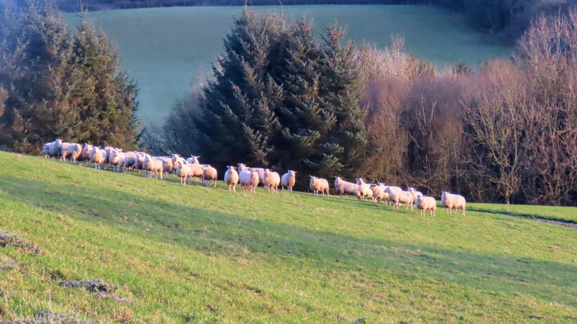 Vale Farm *